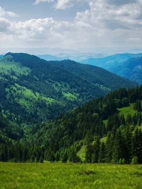 Dağ yamaçları ormanlarda kaplıdır