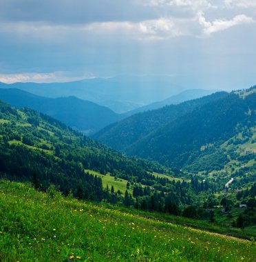 Dağ yamaçları ormanıyla kaplıdır 