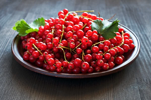 Grosellas rojas en un plato de arcilla — Foto de Stock