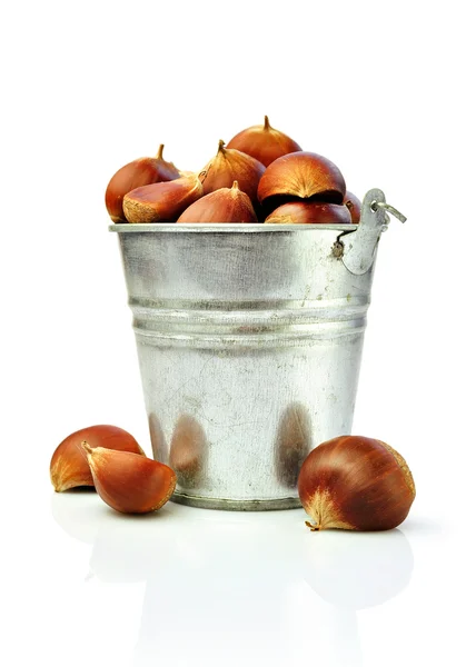 Chestnut in a bucket — Stock Photo, Image