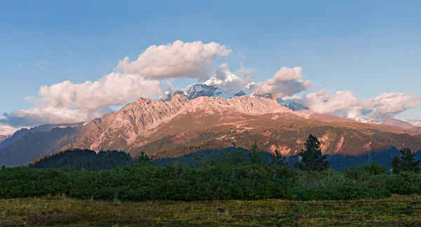 Top of the mountain — Stock Photo, Image