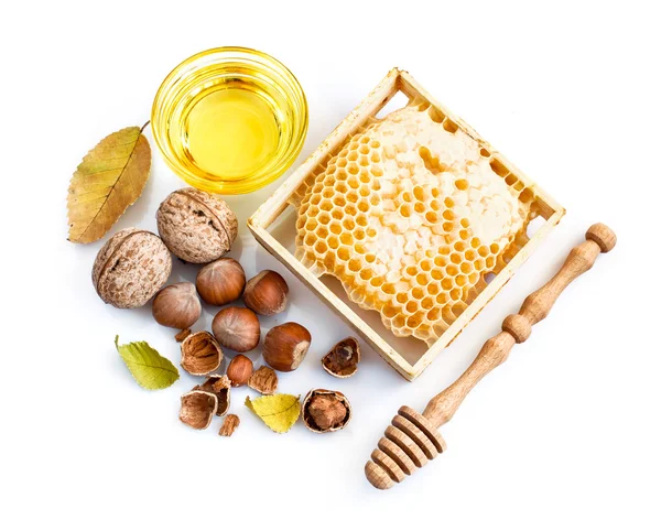 Honeycomb and nuts — Stock Photo, Image