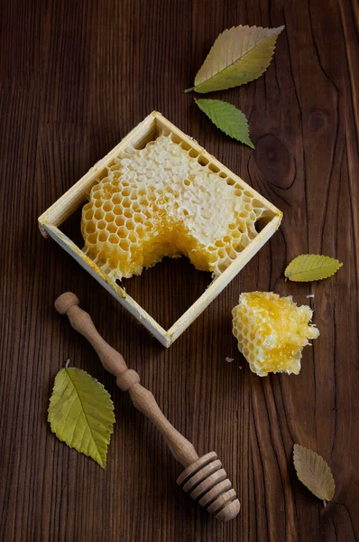 Panal de abeja con un cazo de madera —  Fotos de Stock