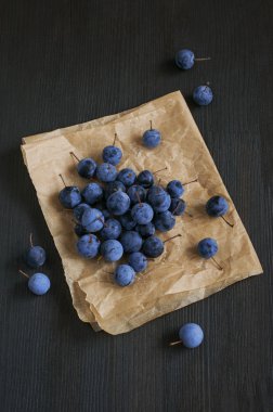 Vahşi berry diken bir parşömen üzerine