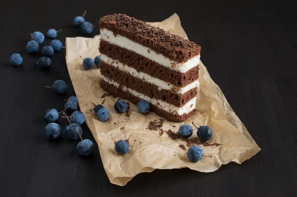 Gâteau au chocolat et argousier — Photo