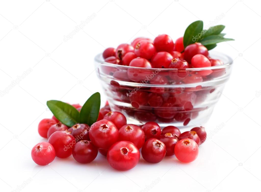 Ripe cranberry close-up