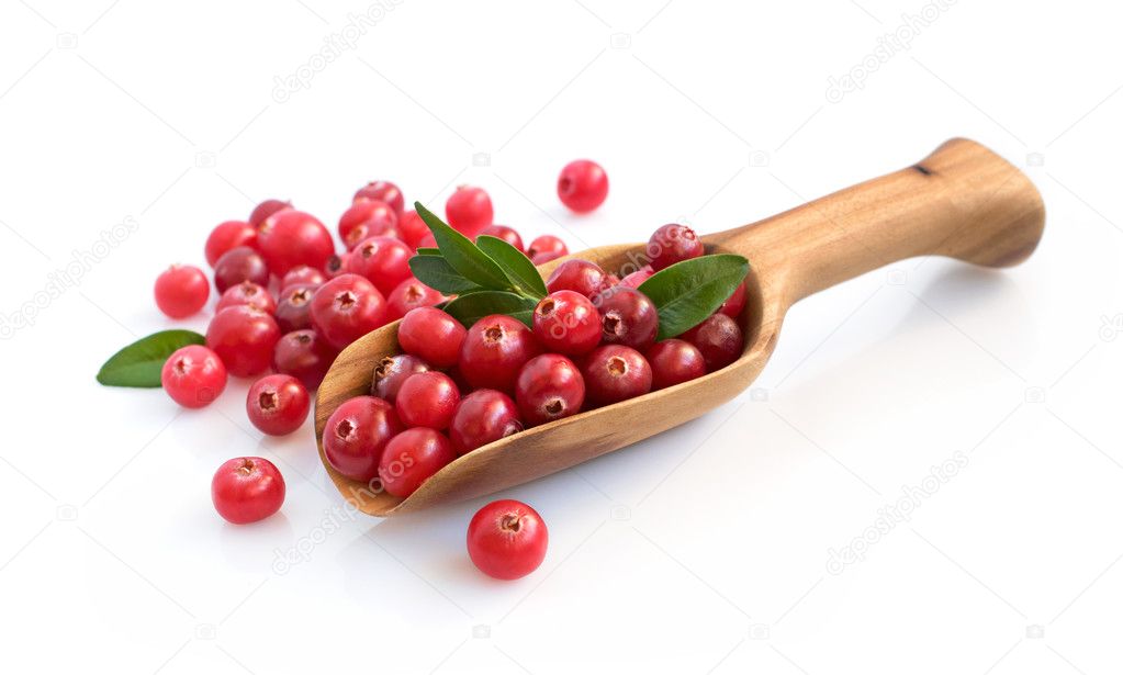 Cranberry with wooden scoop