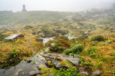 Dali Yunnan Çin 'de yağmurlu bir günde Cangshan dağında sonbahar renkleriyle su akıntısı ve kayalar.