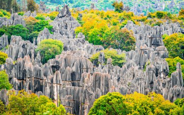 Kunming Yunnan Çin 'de parlak sonbahar renkleriyle Shilin Büyük Taş Ormanı manzarası