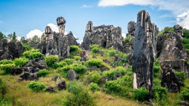 Kunming Yunnan Çin 'de yeşil doğa ve mavi gökyüzü ile Shilin minör taş orman manzarası