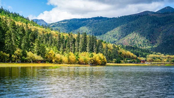 Shudu Gölü manzaralı sonbahar renkleri ormanı ve uzaktaki dağlar Şangri-La Yunnan Çin 'deki Potatso Ulusal Parkı' nda.
