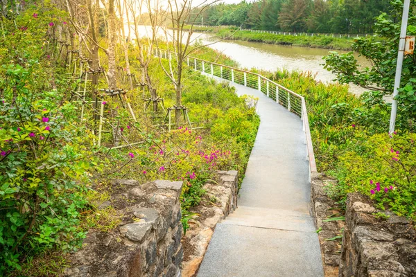 Haikou Hainan Çin Deki Wuyuan Nehri Ulusal Wetland Parkı Nın — Stok fotoğraf