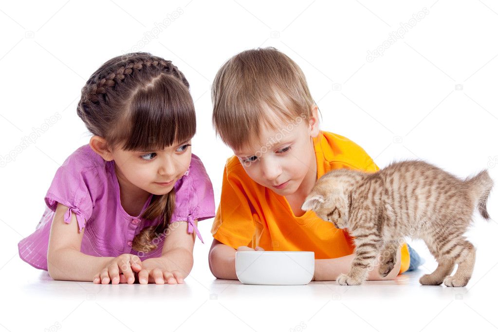 Как заботиться о маленьких. Дети заботятся о кошках. Домашние питомцы для детей забота. Дети ухаживают за животными. Котёнок-ребёнок.