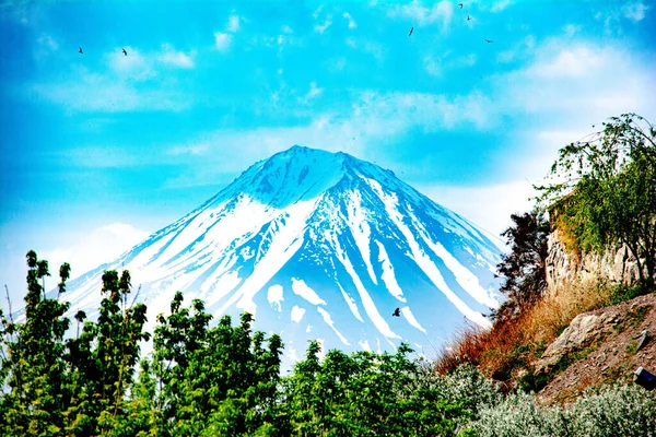 Een Prachtige Berg Bergtoppen Zijn Bedekt Met Sneeuw Bloeiende Bomen — Stockfoto