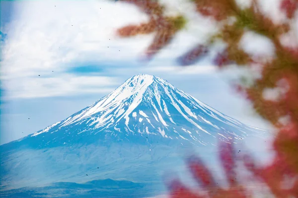 美しい山だ 山の峰は雪で覆われている 山を背景に木を咲かせる — ストック写真