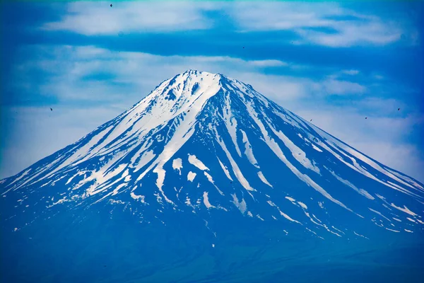 美しい山だ 山の峰は雪で覆われている 山を背景に木を咲かせる — ストック写真