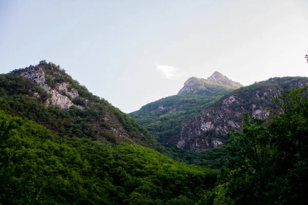 美しい自然 美しい山と森の風景 — ストック写真
