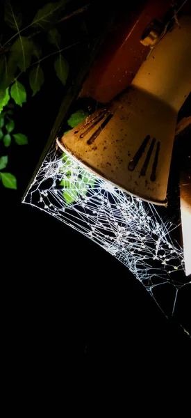 Aranha Fez Uma Teia Aranha Lâmpada Incrível Teia Aranha — Fotografia de Stock