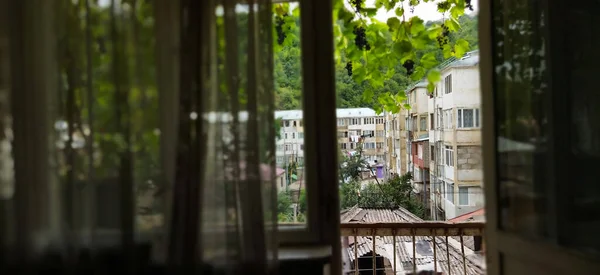 Nice View Balcony Grape Bush Residential Buildings Grapes Grow Right — Stock Photo, Image