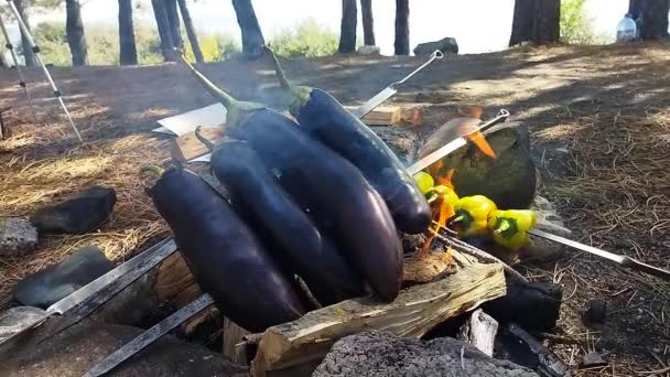 Zöld Paprikát Padlizsánt Főzök Tűz Felett Erdőben Készítünk Egy Ételt — Stock videók