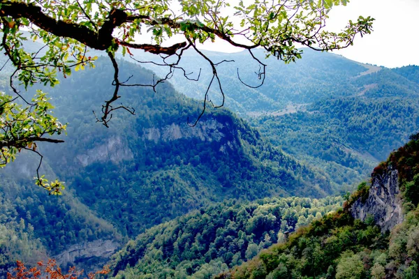 Прекрасна Природа Високі Гори Глибокі Ліси Прекрасний Осінній Пейзаж Приємний — стокове фото