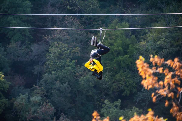 Eğlence, adrenalin ve teleferik hattında macera. Ergen, panoramik orman arka planında zeplinle eğleniyor. Ormanda halatla kayma. İnsanlar ormandaki halatla adrenalin salgılar.