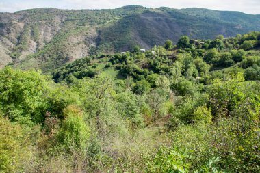 Nehir ve dağlarla güzel bir manzara.