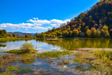 Gölü ve ormanı olan sonbahar manzarası