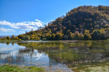 Parktaki güzel göl