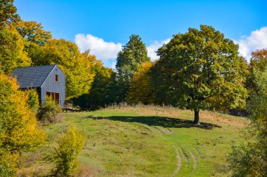 a beautiful shot of a wooden house surrounded by greenery in the forest