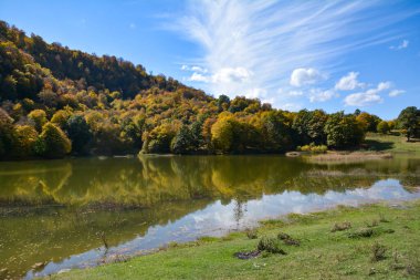 beautiful autumn landscape with colorful trees in the park in the mountains, romania