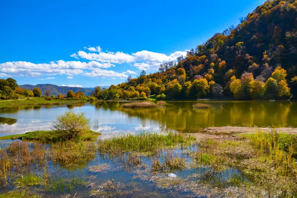 Gölü ve ormanı olan sonbahar manzarası
