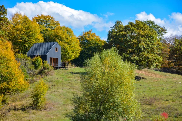 colorful autumn trees on the meadow