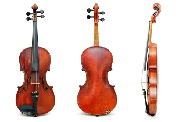 Old used violin view for passport Stock Image