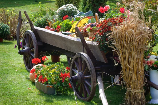 Thanksgiving theme with cart — Stock Photo, Image