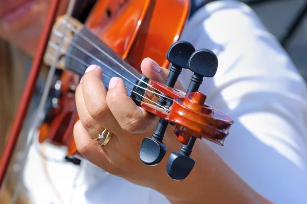 Hand on the fingerboard of violin — Stock Photo, Image