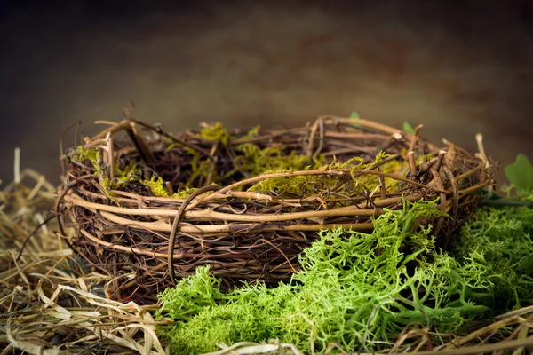 Empty nest with moss — Stock Photo, Image