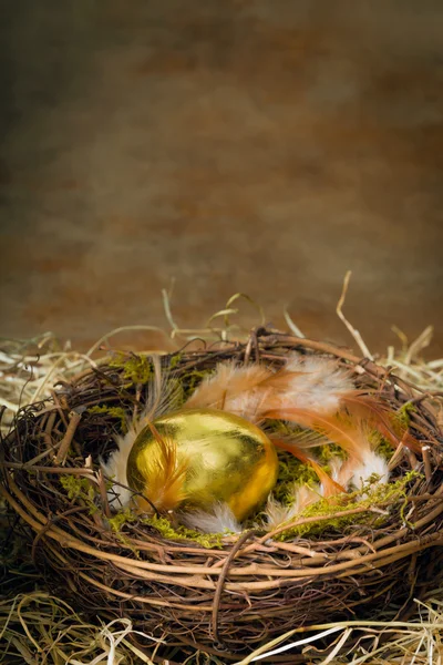 Golden egg in nest — Stock Photo, Image