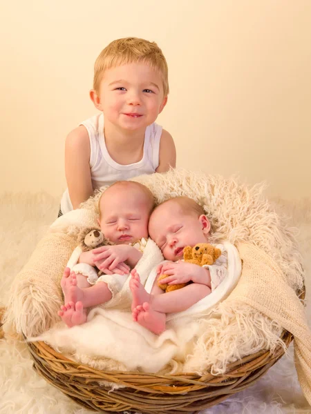 Frère avec sœurs jumelles nouveau-nées — Photo