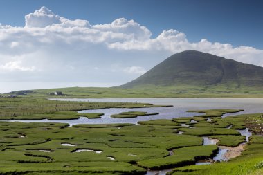 Ceapabhal hill ve saltings