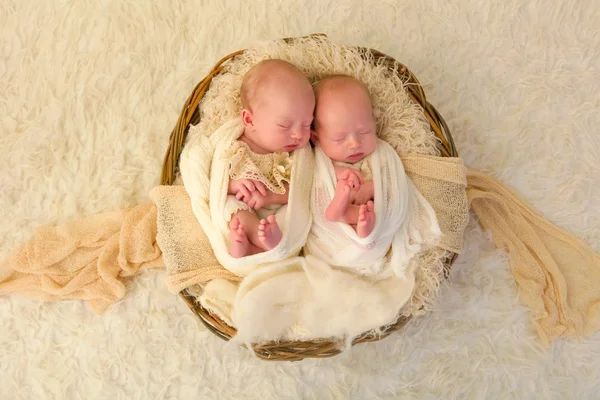 Pasgeboren twin baby 's — Stockfoto