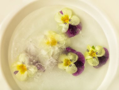 Donmuş su mor çiçekler