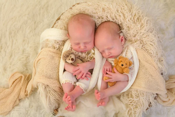 Gêmeos idênticos com ursinhos de pelúcia — Fotografia de Stock