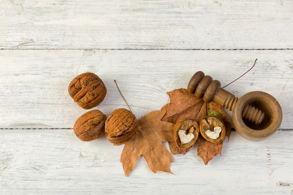 Grunge automne nature morte avec des noix — Photo