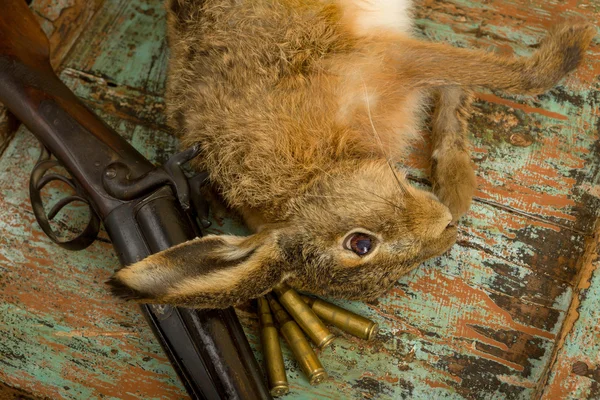 Пули и охотничье ружье — стоковое фото