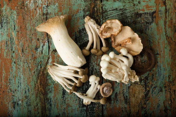 Edible mushrooms on grunge table — Stock Photo, Image