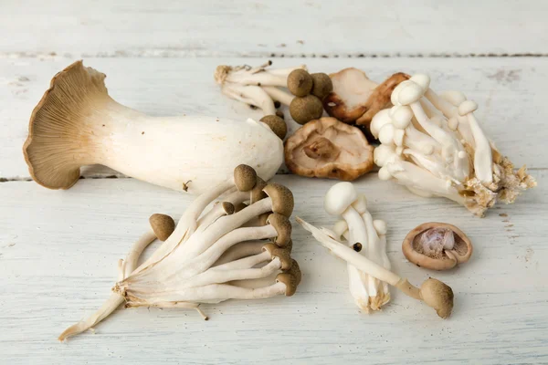 Assorted edible mushrooms — Stock Photo, Image