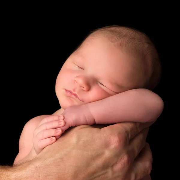 Günlük Bebek Babasının Ellerinde Dinleniyor — Stok fotoğraf