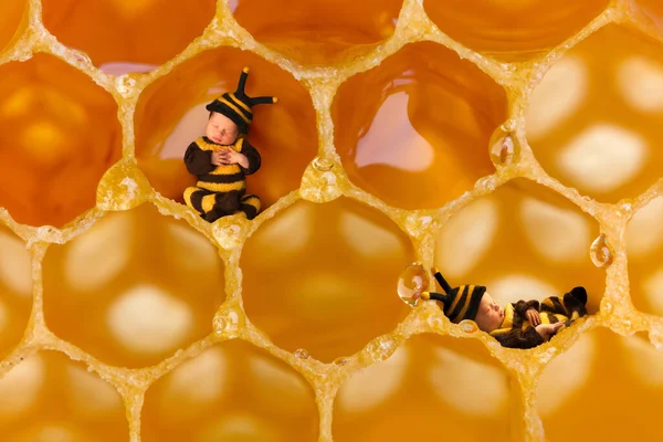 Dwoje Noworodków Kostiumie Pszczoły Śpiących Prawdziwym Plastrze Miodu Ulu — Zdjęcie stockowe