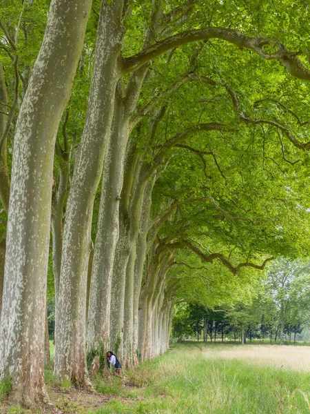 Mooie Jonge Afrikaanse Vrouw Met Zwarte Vlechten Tijdens Fitness Oefeningen — Stockfoto